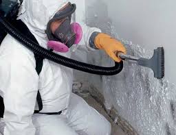 Best Crawl Space Mold Remediation  in , AR